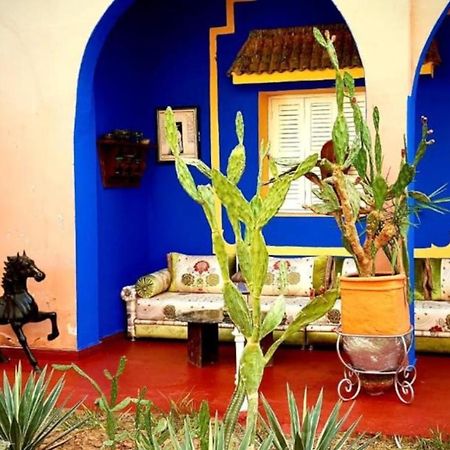 Riad Jasmine Sud Zagora Eksteriør billede