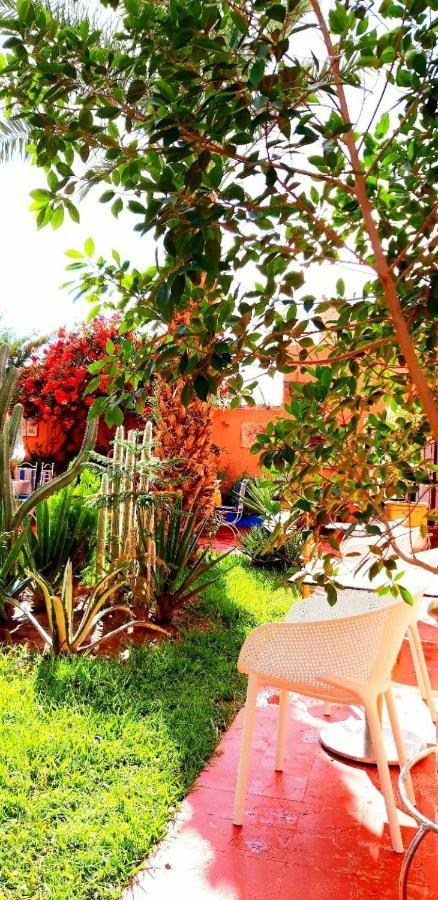 Riad Jasmine Sud Zagora Eksteriør billede